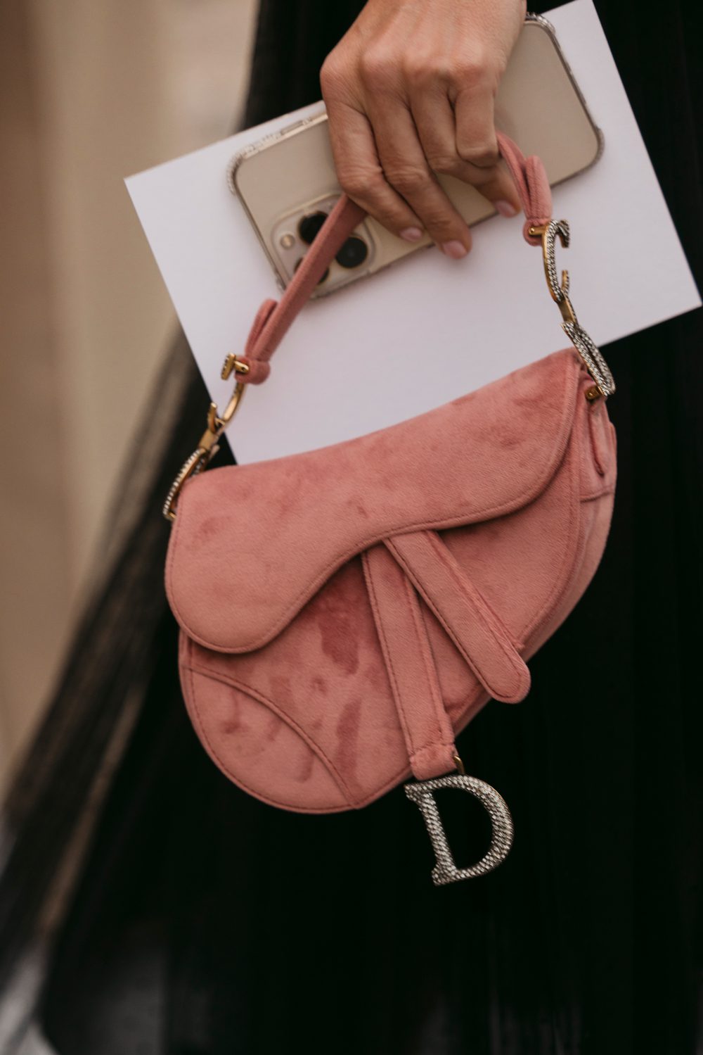 Bolsa de selim Velvet Dior 1