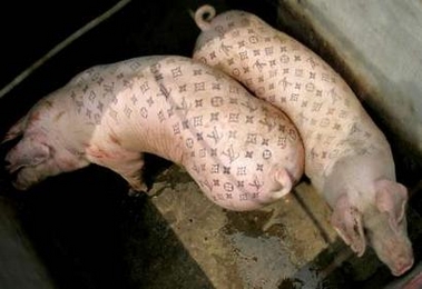 Pigs tattooed with the trademarked pattern of French luxury brand Louis  Vuitton are seen at a farm on the outskirts of Beijing Saturday, July 30,  2005. A Belgian artist Wim Delvoye has